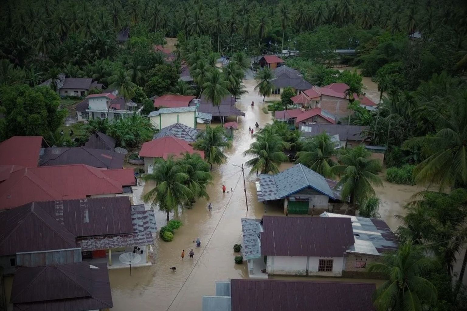 Akal Publik Menuntut Kejelasan: Analisis Krisis Banjir Sumatera dan Respons Pemerintah