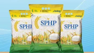 Amran Copot 8 Pejabat Bulog dan Bapanas Terkait Beras Oplosan SPHP