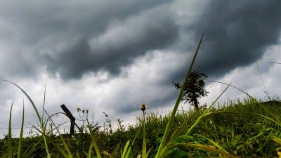 Analisis BMKG: Monsun Asia Picu Peningkatan Hujan Lebat Jawa Timur