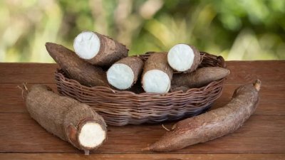 BRIN Ungkap Cara Tepung Singkong Bantu Padamkan Karhutla