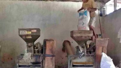 Klaim Penggilingan Padi Untung Rp 2 Triliun Kembali Viral, Ini Klarifikasi Pemerintah