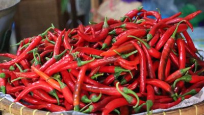 Mengapa Harga Cabai Melampaui HAP Saat Ramadan 2026?