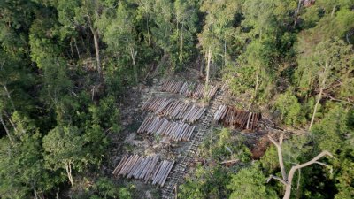 Negara Cabut Izin 28 Perusahaan, Gugat Rp 4,8 Triliun