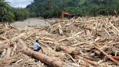 Pakar Ingatkan Risiko Sistemik: Deforestasi Kalimantan–Papua Masuk Zona Bahaya