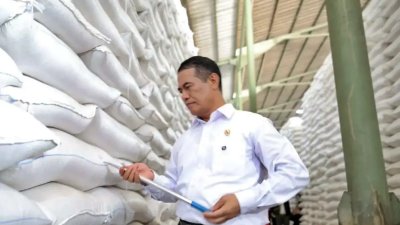 Paradigma Baru Kedaulatan: Membedah Akselerasi Swasembada Beras 2026