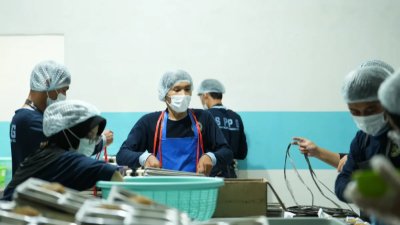 Paradoks Anggaran MBG: 1.512 SPPG Ditutup di Tengah Target Triliunan Rupiah