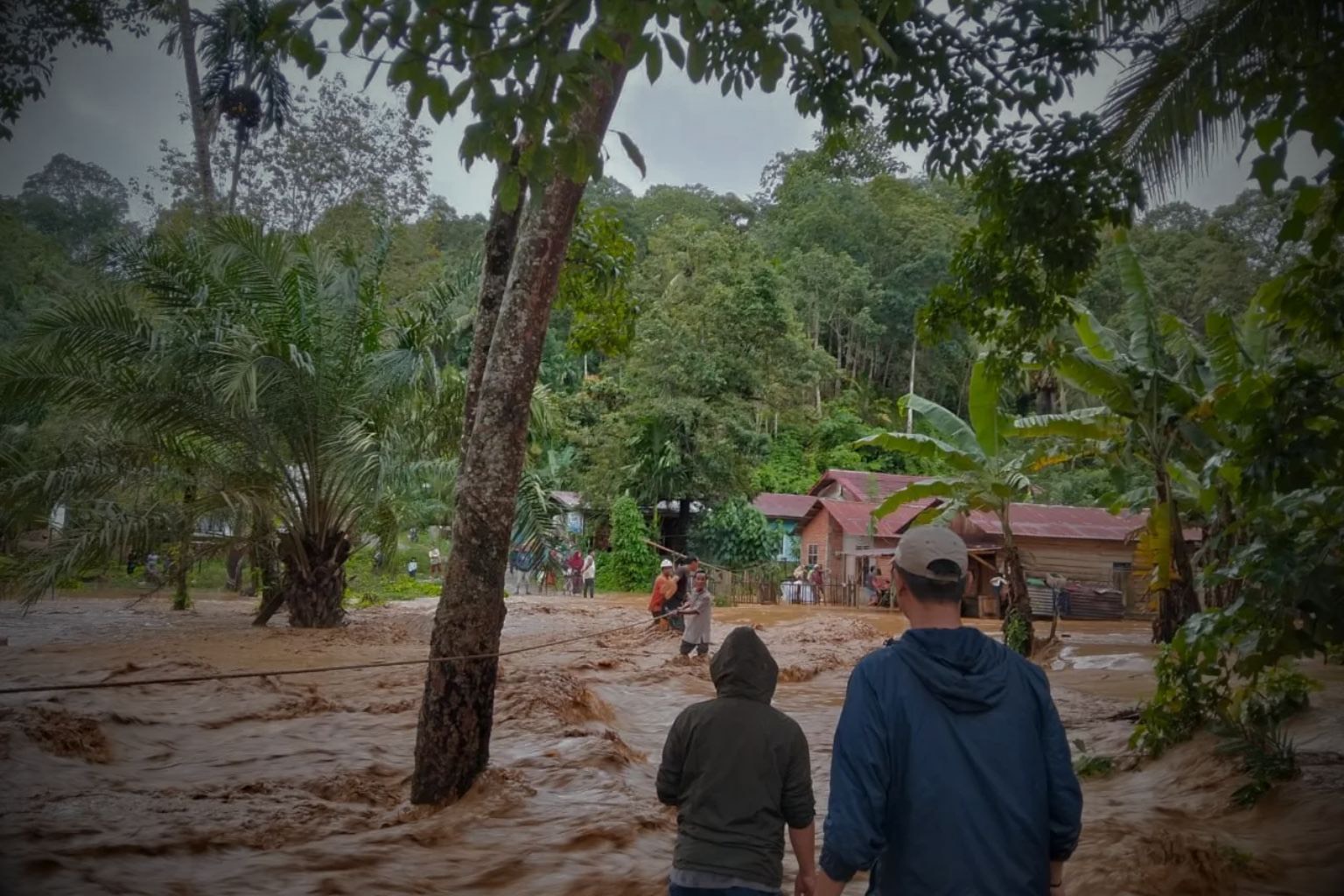 Mengurai Badai Senyar: Data BMKG, Deforestasi Sumatra, dan Kegagalan Tata Ruang