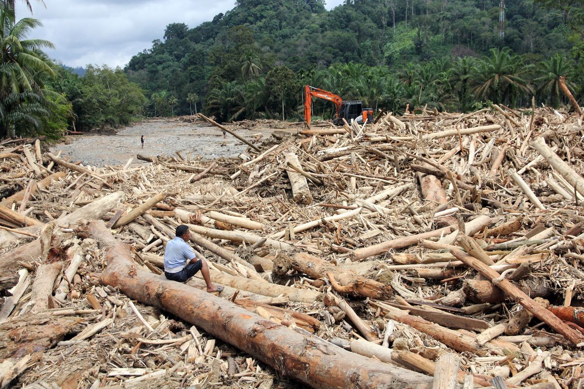 Pakar Ingatkan Risiko Sistemik: Deforestasi Kalimantan–Papua Masuk Zona Bahaya