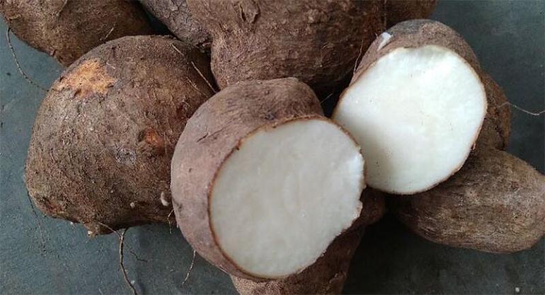 Uwi Hilang di Jawa, Bertumbuh di Dunia