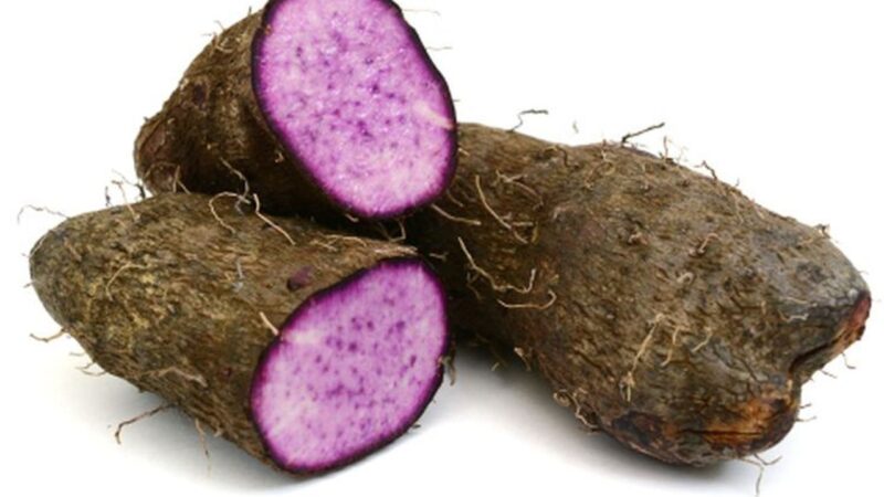 Negara Pilih Beras, Uwi Tersingkir dari Sistem Pangan