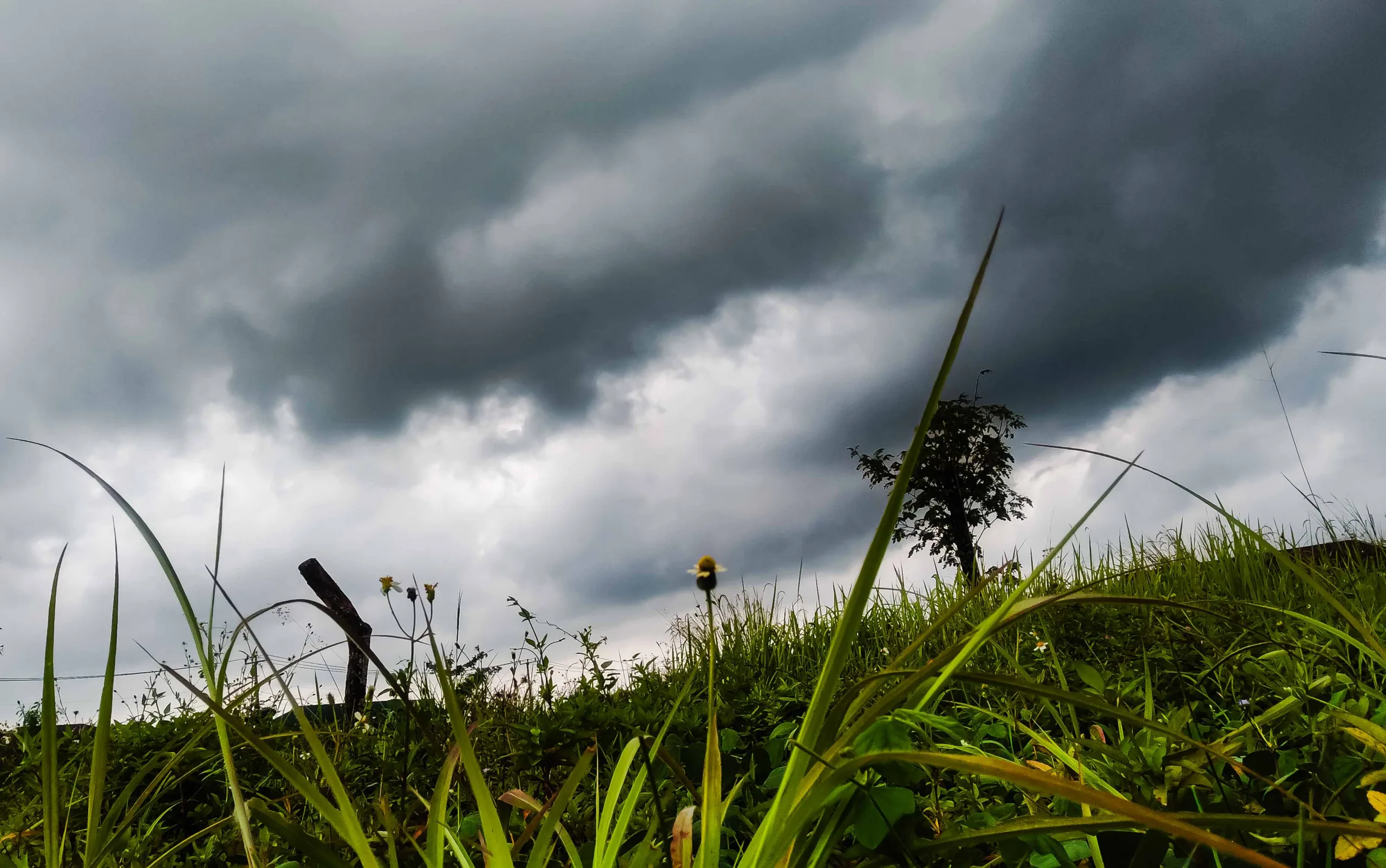 Analisis BMKG: Monsun Asia Picu Peningkatan Hujan Lebat Jawa Timur