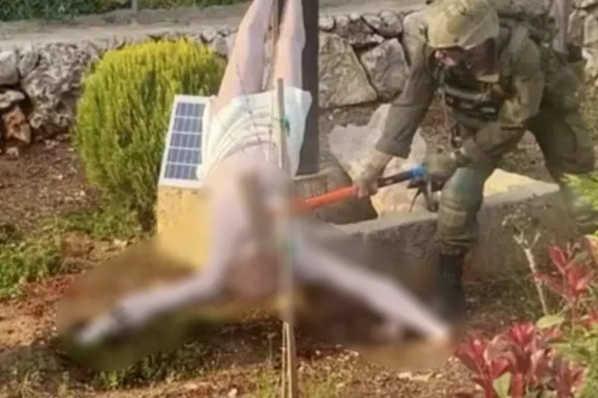 Vandalisme Teologis Tentara Israel di Lebanon Ciderai Akal Sehat