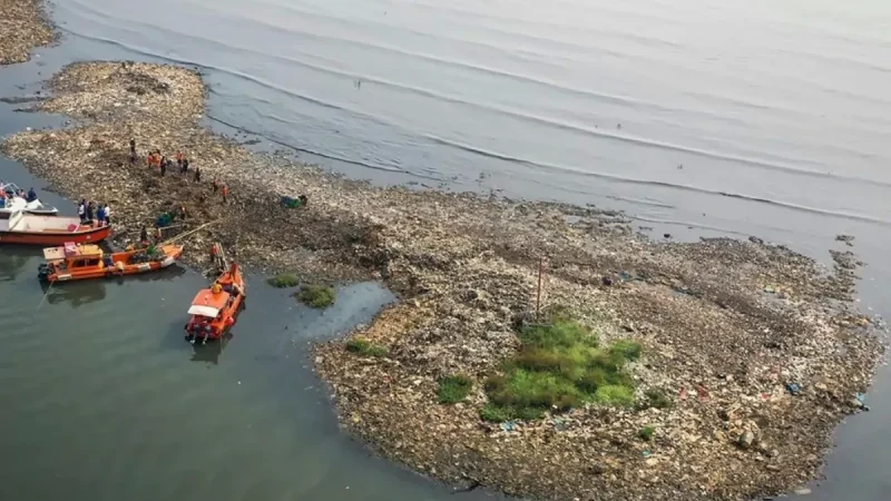 8,8 Ton Sampah Diangkut, Mengapa ‘Pulau Sampah’ Bisa Muncul di Muara Angke?