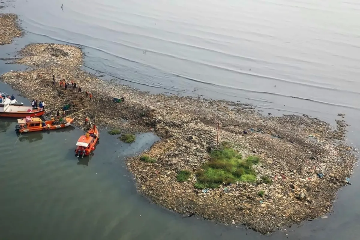 8,8 Ton Sampah Diangkut, Mengapa ‘Pulau Sampah’ Bisa Muncul di Muara Angke?