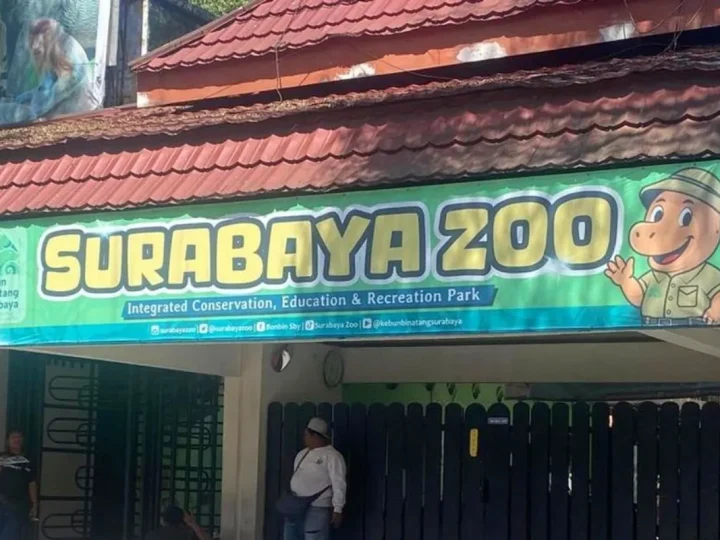 Dugaan Korupsi Kebun Binatang Surabaya Kurangi Pakan, Satwa Kurus hingga Mati