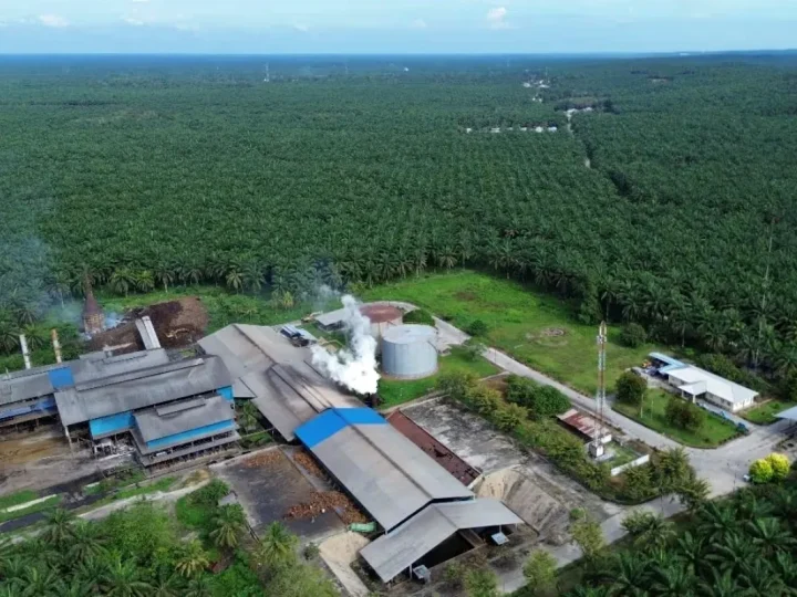 Agrinas Palma Rekrut 20 Ribu Pekerja Sawit, Lokal Diprioritaskan