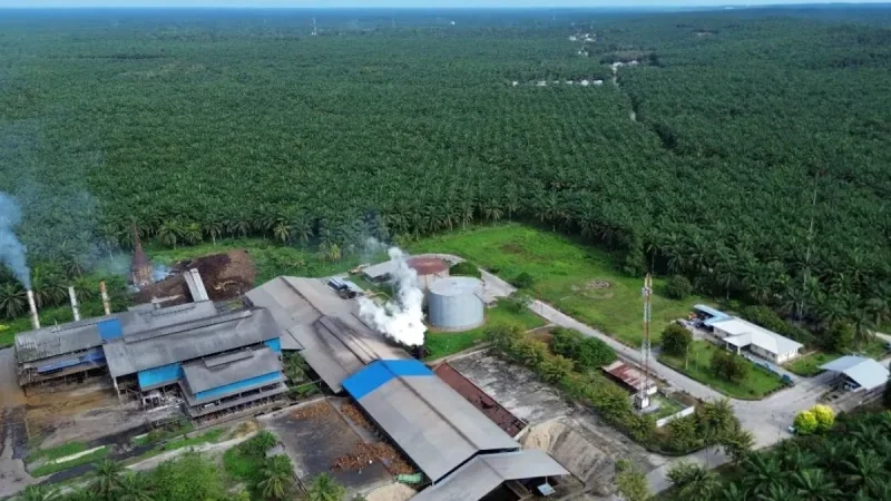 Agrinas Palma Rekrut 20 Ribu Pekerja Sawit, Lokal Diprioritaskan