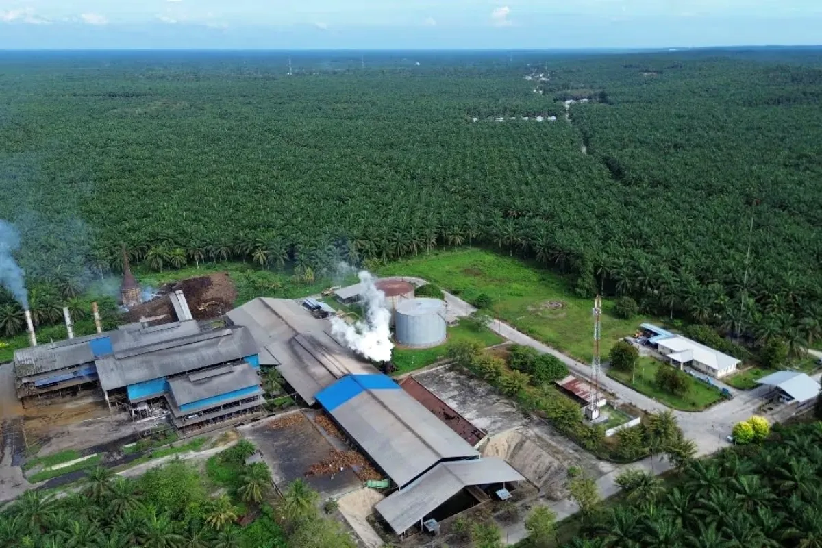 Agrinas Palma Rekrut 20 Ribu Pekerja Sawit, Lokal Diprioritaskan