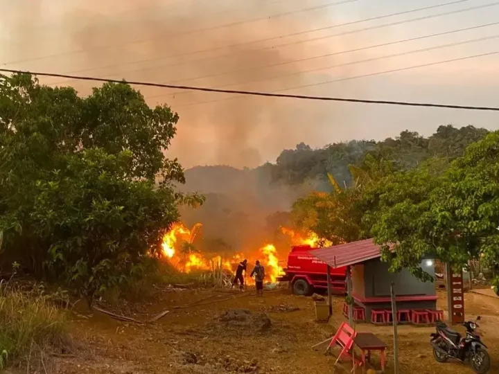 72 Tersangka Kebakaran Hutan Ditetapkan, Polisi Buru Pemodal