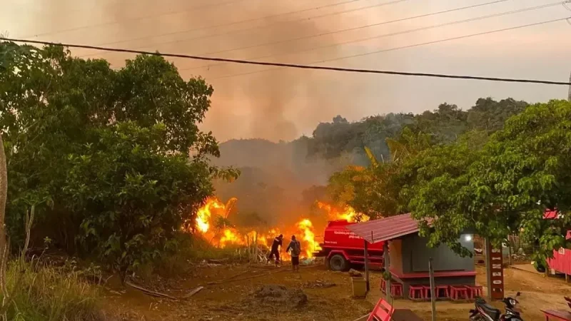 25.524 Hotspot Karhutla Kalimantan Berada di Kawasan Konsesi
