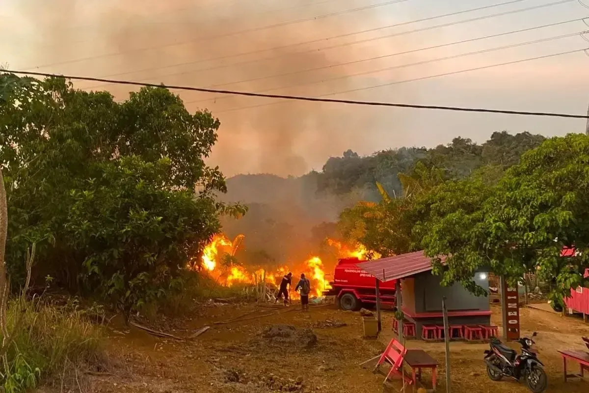 25.524 Hotspot Karhutla Kalimantan Berada di Kawasan Konsesi