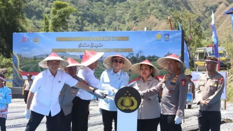 Produksi Bawang Putih Cuma 40 Ribu Ton, Kebutuhan 600 Ribu Ton