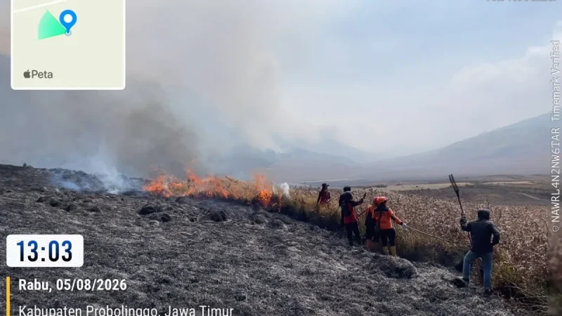 Karhutla Bromo Meluas hingga 120 Hektare, Dugaan Penyebab Bergeser ke Aktivitas Manusia