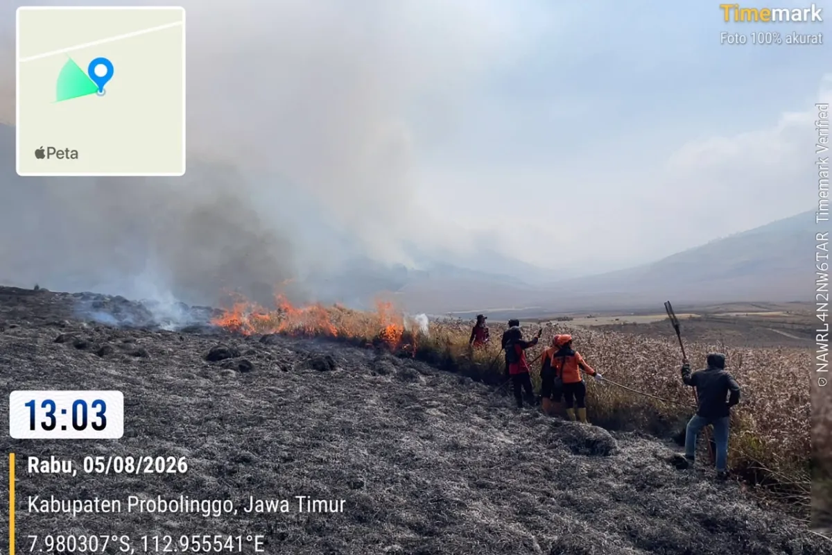 Karhutla Bromo Meluas hingga 120 Hektare, Dugaan Penyebab Bergeser ke Aktivitas Manusia