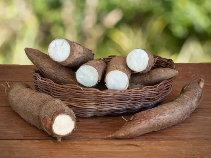 BRIN Ungkap Cara Tepung Singkong Bantu Padamkan Karhutla