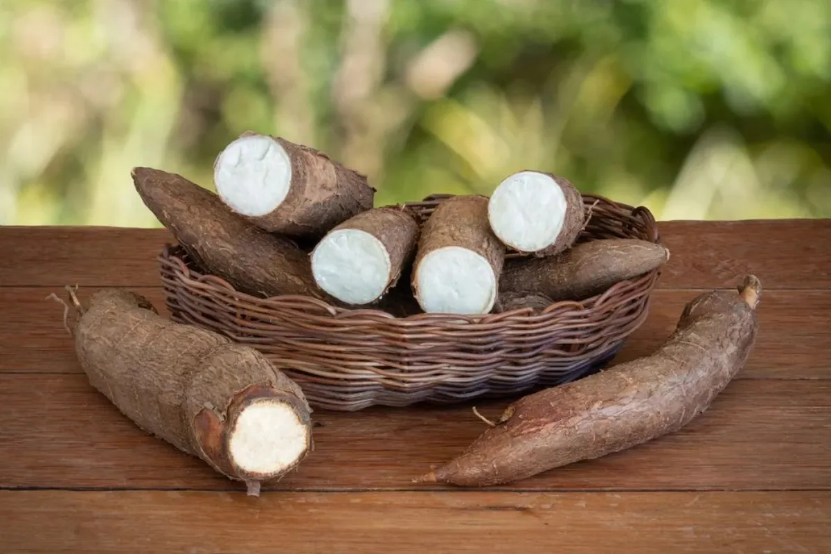 BRIN Ungkap Cara Tepung Singkong Bantu Padamkan Karhutla